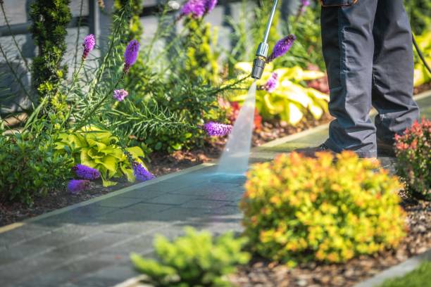 Best Fence Cleaning and Maintenance in Mcqueeney, TX