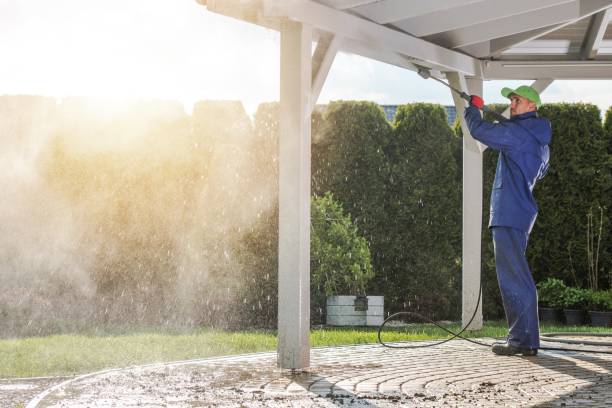 Best Soft Washing for Delicate Surfaces in Mcqueeney, TX
